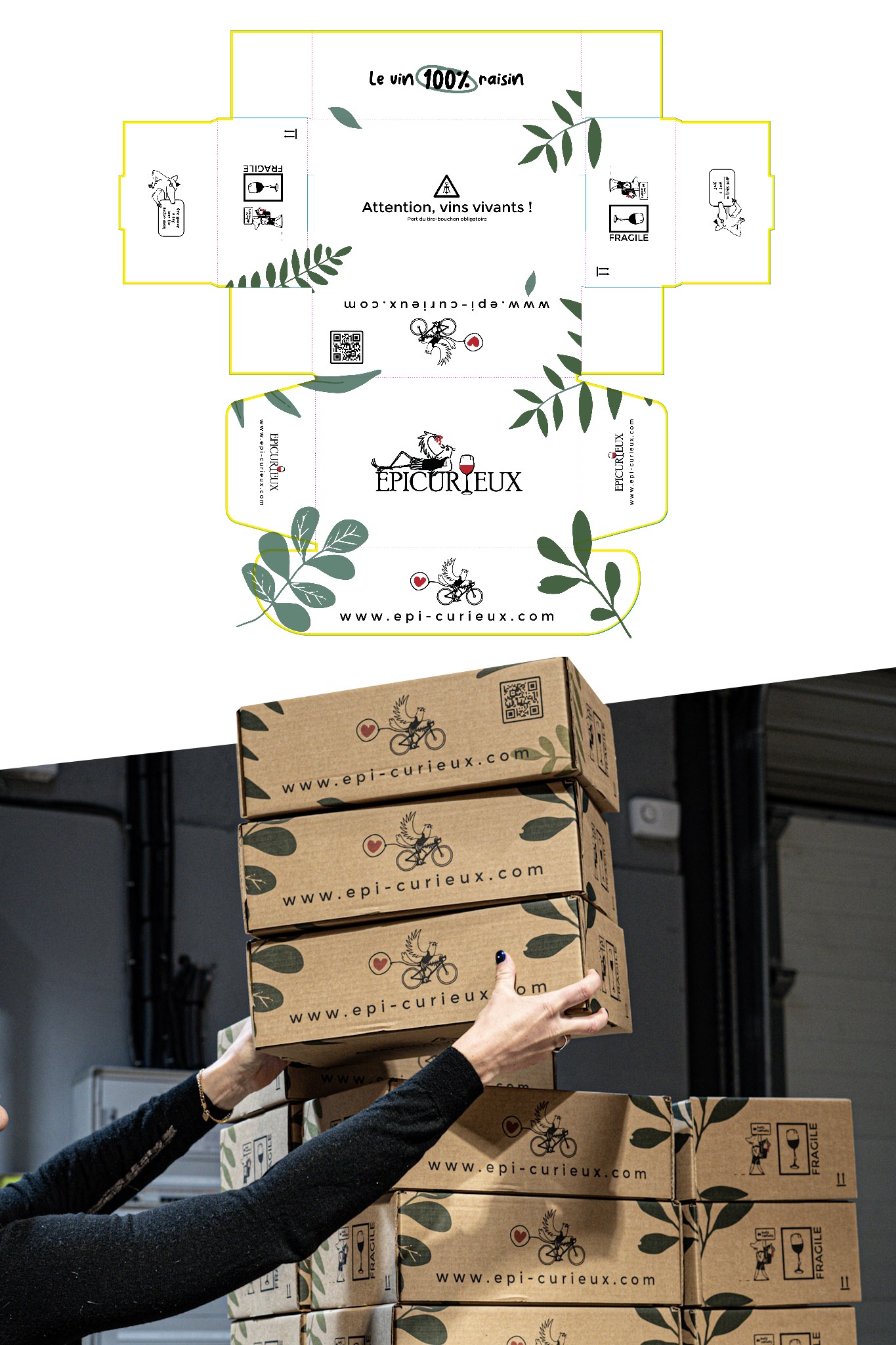 packaging epi-curieux